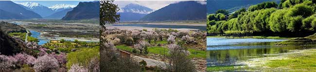 林芝桃花(huā)溝、尼洋河風光