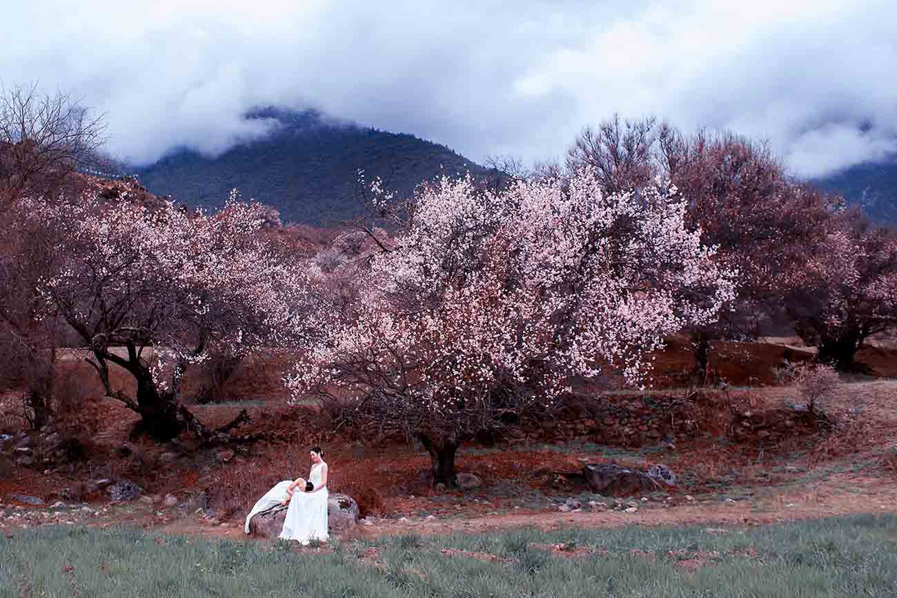 林芝桃花(huā)人像 (2).jpg